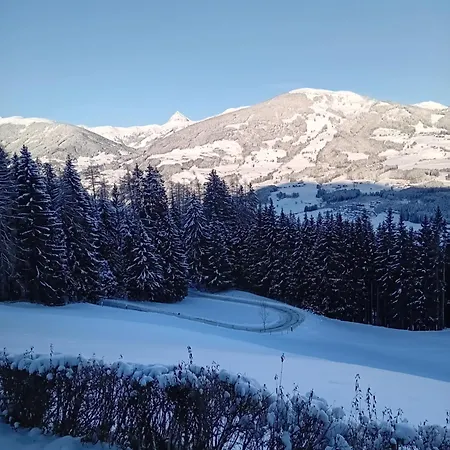 Hochwimmer Apartament *