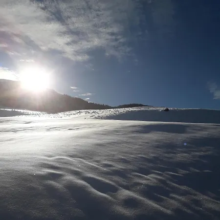 Hochwimmer * 홀레르스바흐 임 핀츠가우