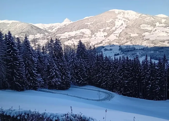 Hochwimmer Apartament *