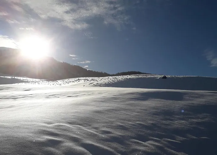 Hochwimmer * Hollersbach im Pinzgau