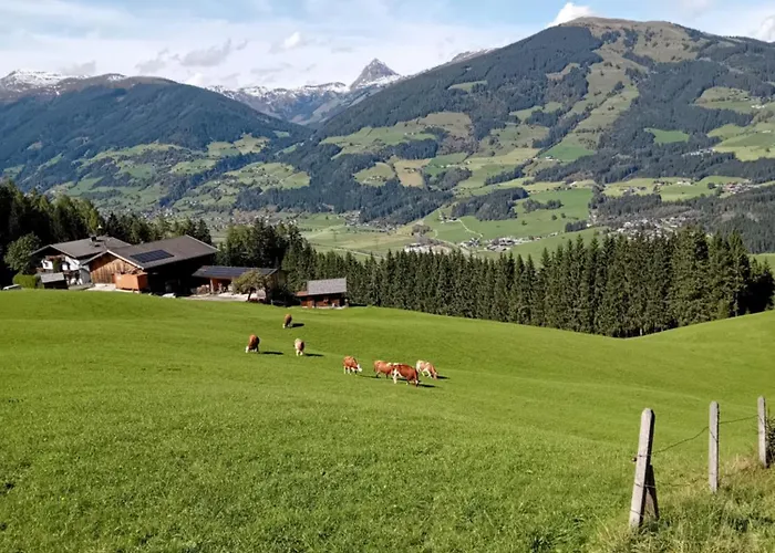 Hochwimmer Apartament