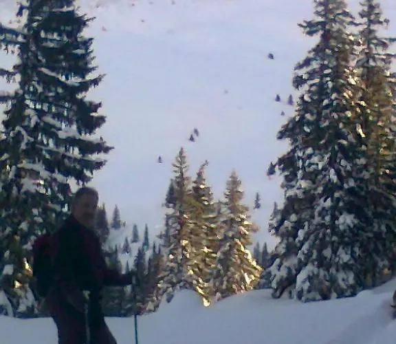 Hochwimmer Apartament